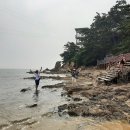닭섬