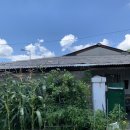 초막목장 이미지