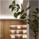 연세노보비뇨의학과의원 이미지