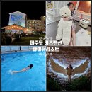 제주도아이랑 파미유리조트 키즈가족펜션 | 제주도 키즈펜션 제주 리조트 수영장 서귀포 숙소 파미유리조트 키즈룸