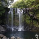 중문진실캠핑장 이미지