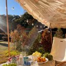 어반티지 글램핑 카라반 펜션 이미지