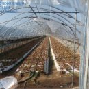 초촌면산직리보건진료소 이미지