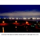 낭만오징어 이미지
