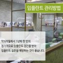 연세웃는치과의원 이미지