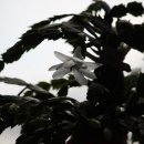 해애루민박 이미지