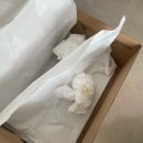 월드컵 메리제인 슈즈] 카프리 메리제인슈즈 230mm 내돈내산 솔직후기
