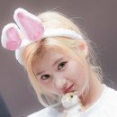 토끼사 이미지
