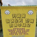 발라당눕스 이미지