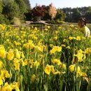 천리포수목원 이미지