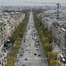 중앙로가로수 이미지