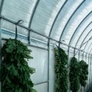 무성농장 이미지