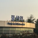 일산 프리다이빙 메르다이빙센터 점프스타트 강습 후기, 초보 입문 추천