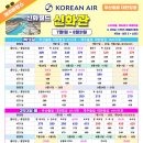 신화항공여행사