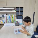 피피글로벌