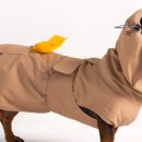 도그엔젤 이미지