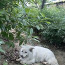 두곡리 27-20 철도용지 | 강릉여행 1박2일:: 경포해수욕장, 강릉맛집, 월화거리 등등..