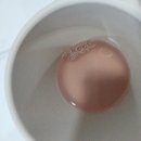 포도픽