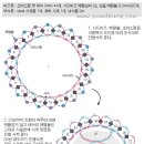 심플라인 이미지
