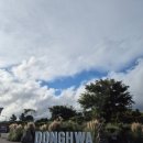 제스코 | 제주 송담 동화마을 투어기차 탑승후기 _제주선물 추천(제스코관광마트)