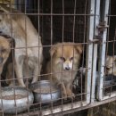 유예농장 이미지