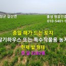 홍성 종일해가들어 작물농사가 잘되는토지, 축사 없음/ 2,282평 평당10만원 이미지