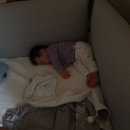 상남동289 이미지