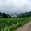 영미스튜디오 이미지