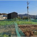 충주 행복한 농장 이미지