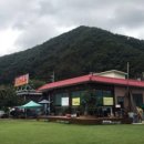 금남멧돼지 이미지