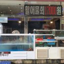 수다떠는오징어형제수산