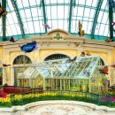 벨라지오 이미지