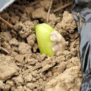 은한농장 이미지