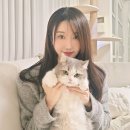 [전시]신간 어린이 동화 "미션냥파서블" 출간 기념 아세움 작가 5번째 개인전...이트리움 갤러리서 개최 이미지