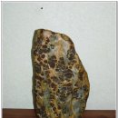 순창금방