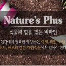 네이처스샵 이미지
