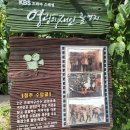 청주맛집 수암골 영광이네(영광의재인촬영지)