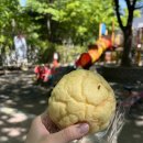 몽쉘통통 | [연남동 빵지순례] 일본 현지 감성 연남동 빵집 모리노팡 메론빵 야끼소바빵 솔직 후기