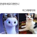 사이먼 사이먼 도미닉
