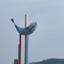 갯마을을 그리워하는 이미지