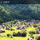 아신투어