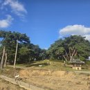 방죽말 | 충청남도 논산시 은진면 방축3리마을숲