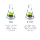 조아팩 이미지