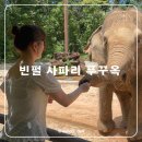 농촌체험코스(북부) | 푸꾸옥 북부 여행 필수코스 동물원 빈펄 사파리 꿀팁 대방출