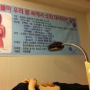 에바니아 체험케어 이미지