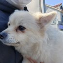 성산자동차공업사 이미지