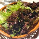 대박우렁쌈밥 | 분당점심맛집 수내 육일돈 우렁쌈밥 제육볶음 후기 &amp; 수내동 점심 맛집 추천 (ft. 분당 가성비 맛집) 🔥