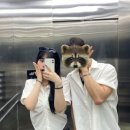 차차차노래연습장 이미지