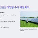 햇빛연금이란? 신안군에서 시작된 태양광 수익 배당 제도