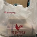 또래오래 핫반갈반 with 치즈볼 (핫양념반, 갈릭반)